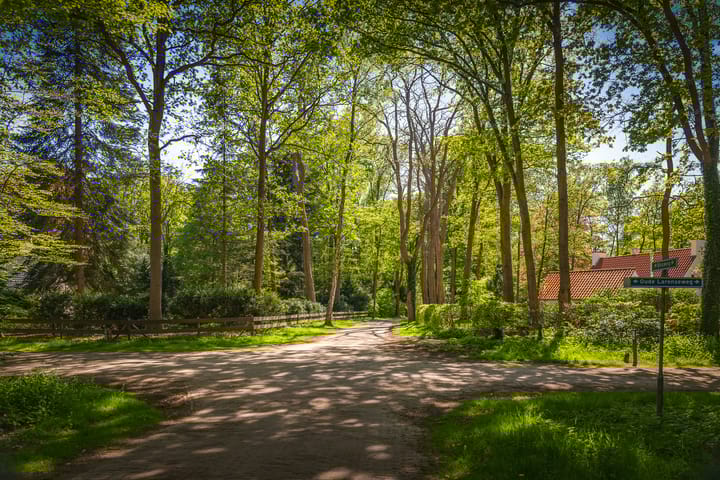 Foto 67 van Bosweg 6