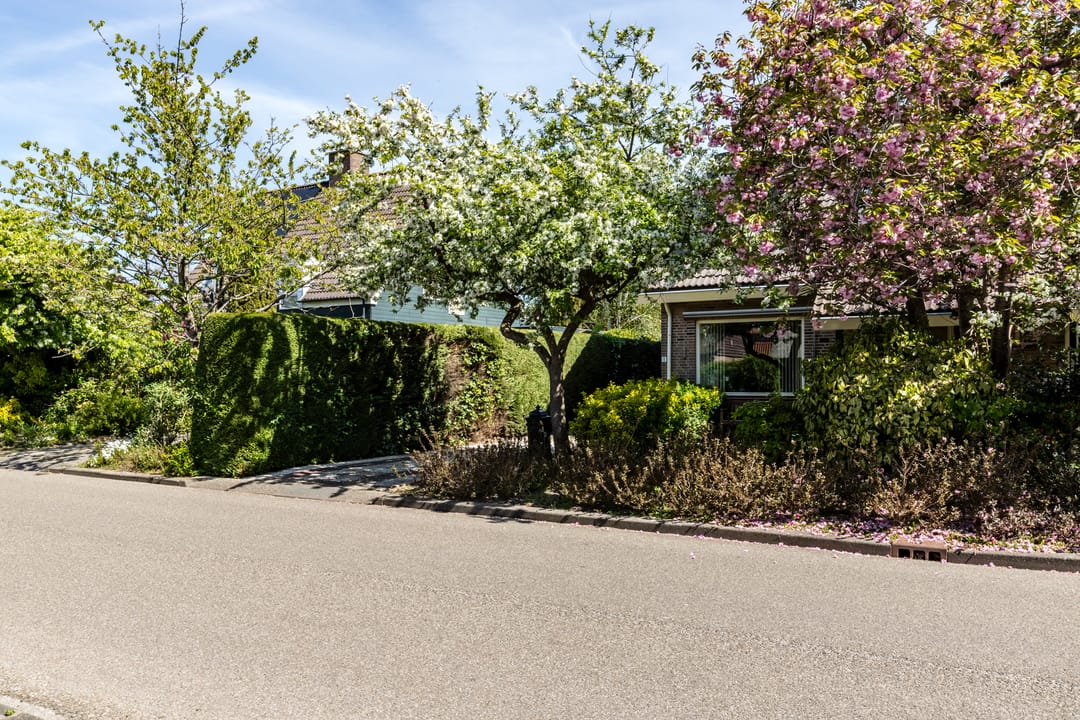 Foto 56 van N.T. Hopmanstraat 1