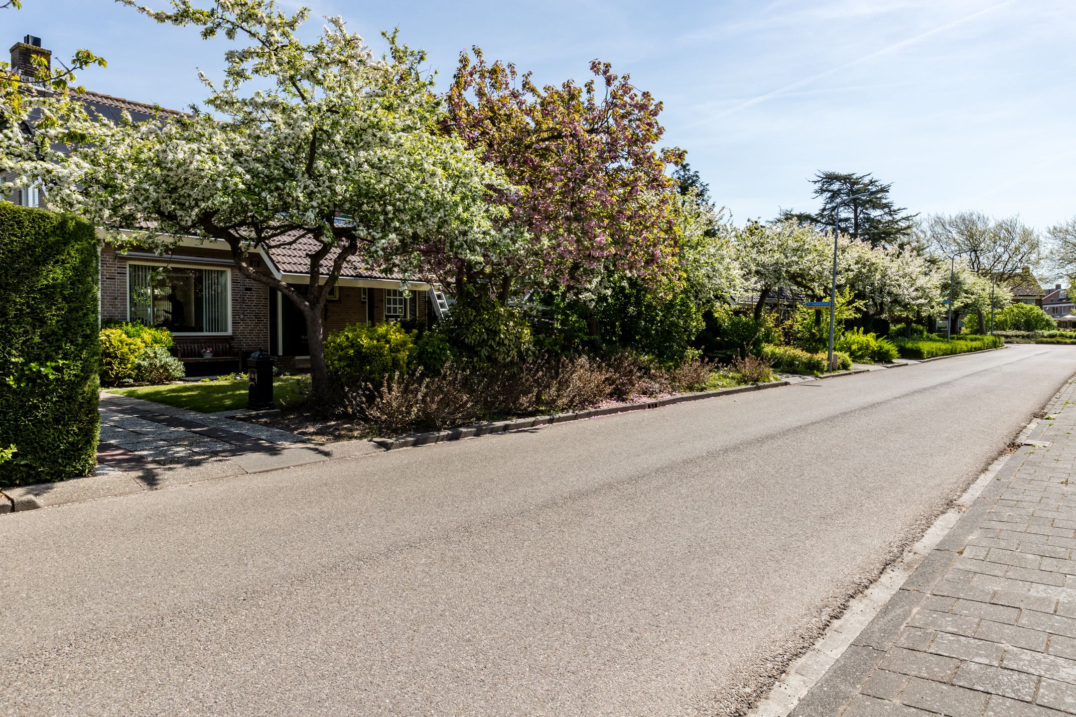 Foto 57 van N.T. Hopmanstraat 1