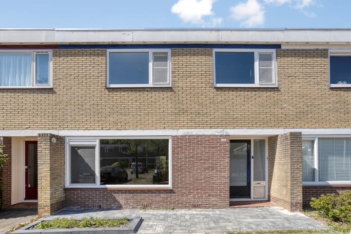 Foto 4 van de Bird 111