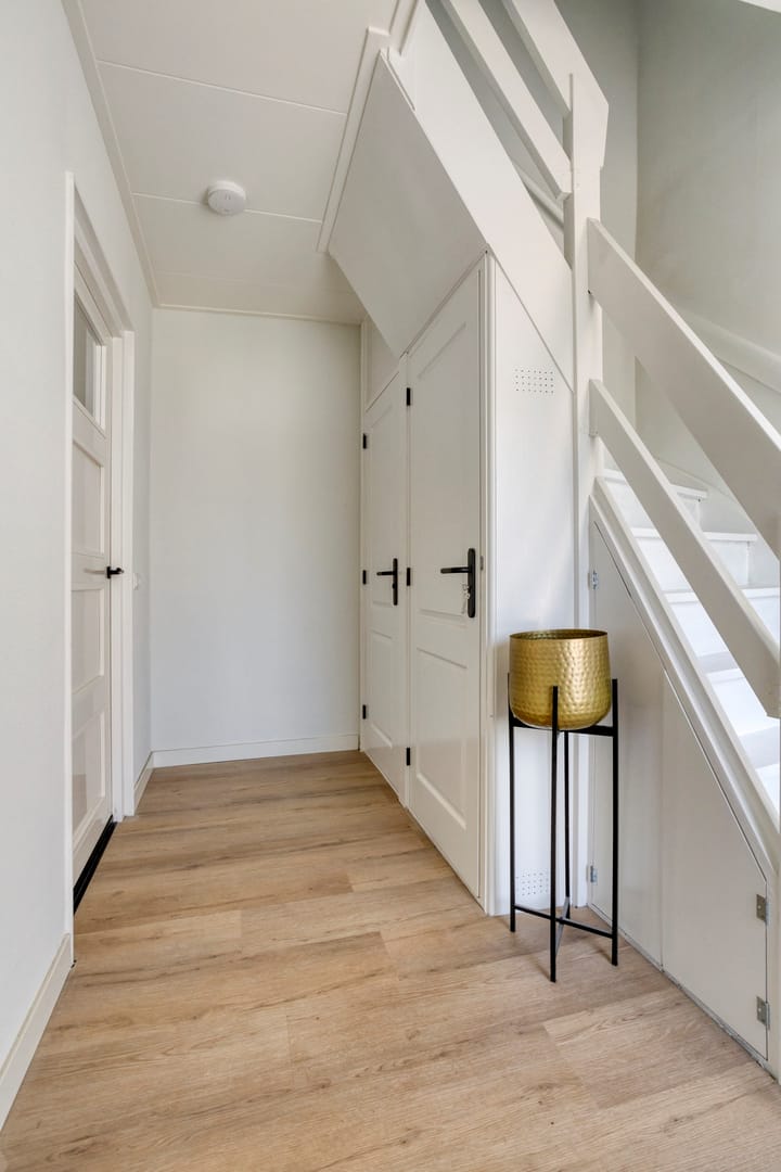 Foto 7 van de Bird 111