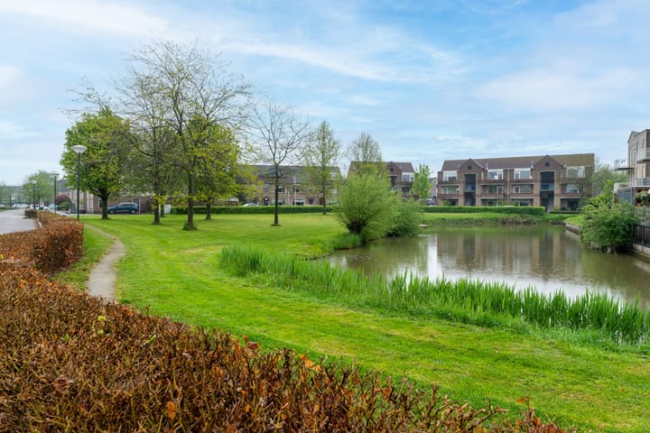 Foto 3 van Vlinderslag 28