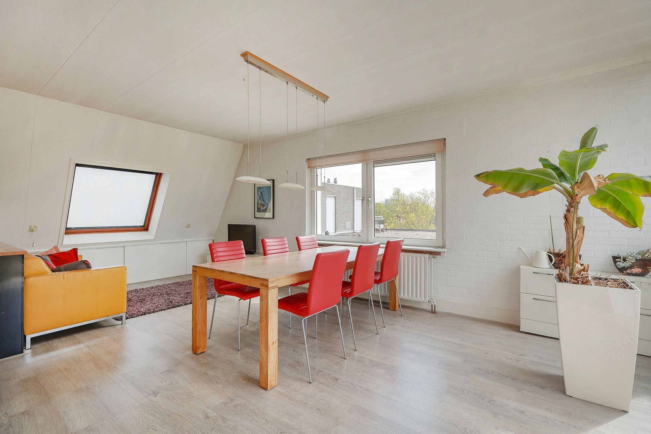 Foto 3 van Griend 95