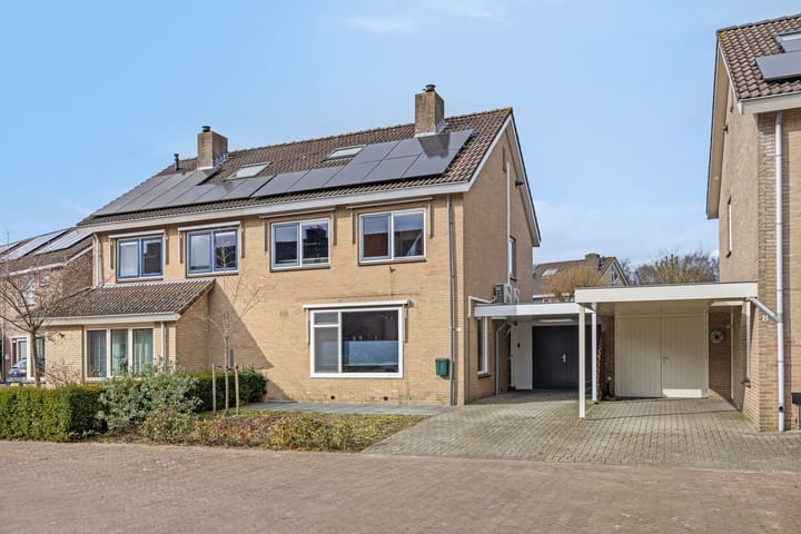 Kievitsbloem 10