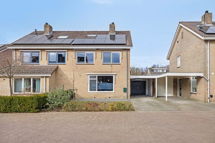 Foto 5 van Kievitsbloem 10