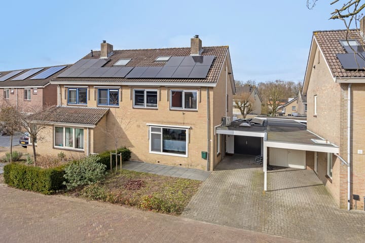 Foto 9 van Kievitsbloem 10