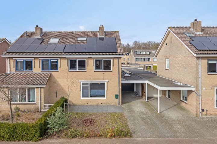 Foto 10 van Kievitsbloem 10