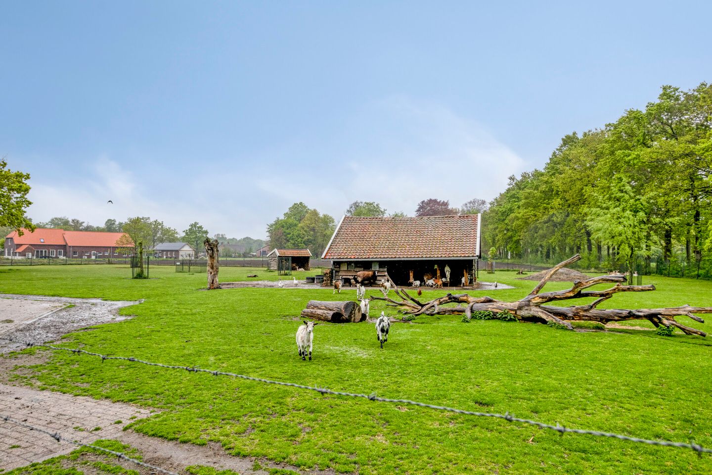 Foto 34 van Heindertweg 139