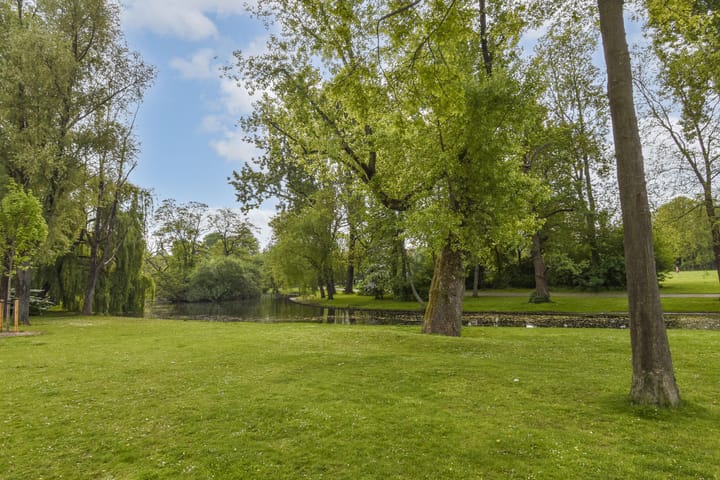 Foto 17 van Blasiusstraat 110-H