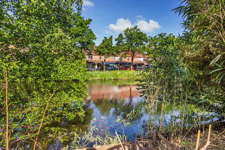 Photo 11 of Horsterveste 6