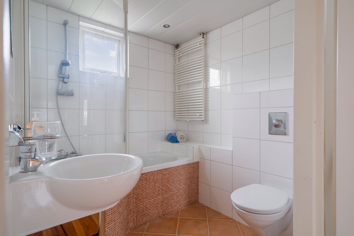 Photo 34 of Schelfhout 12