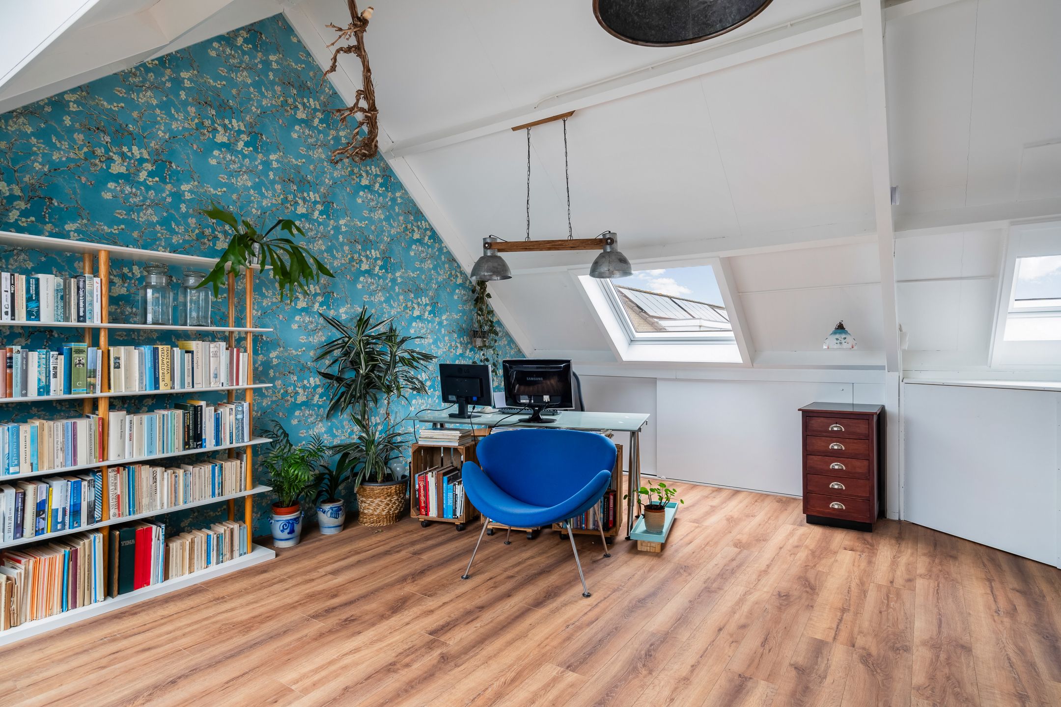 Photo 39 of Schelfhout 12