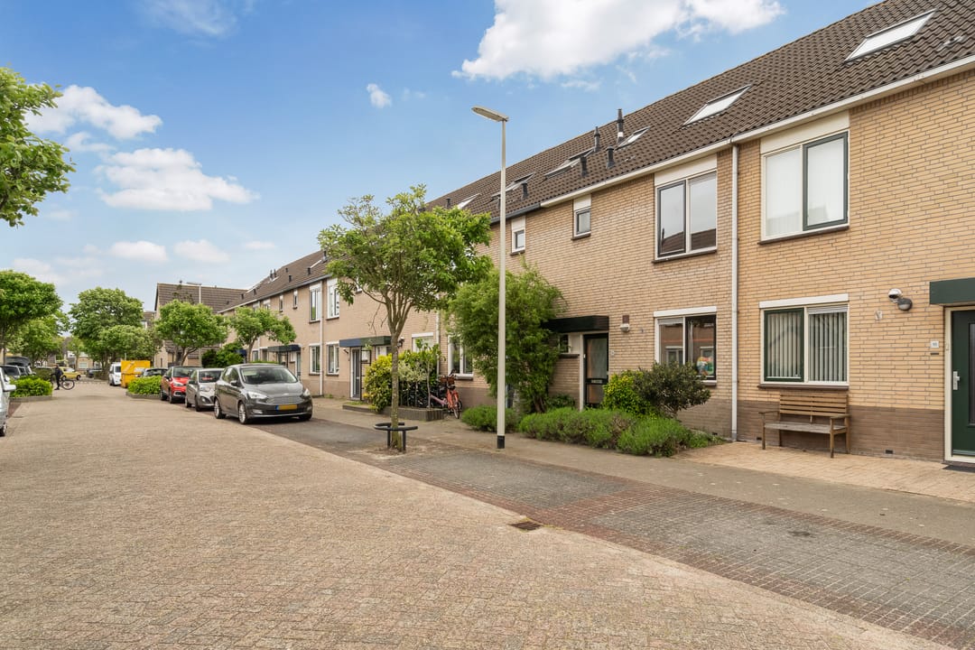 Photo 41 of Schelfhout 12