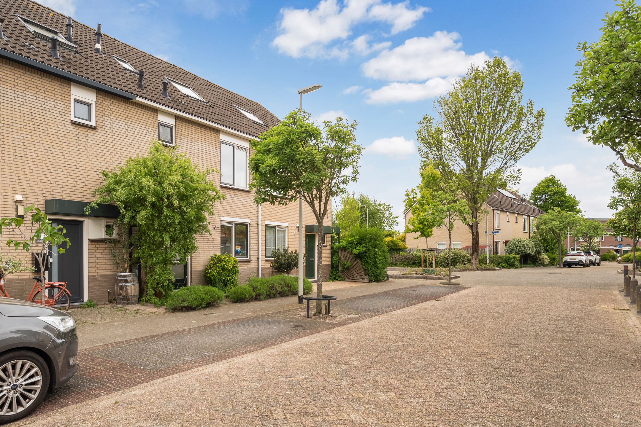 Photo 42 of Schelfhout 12