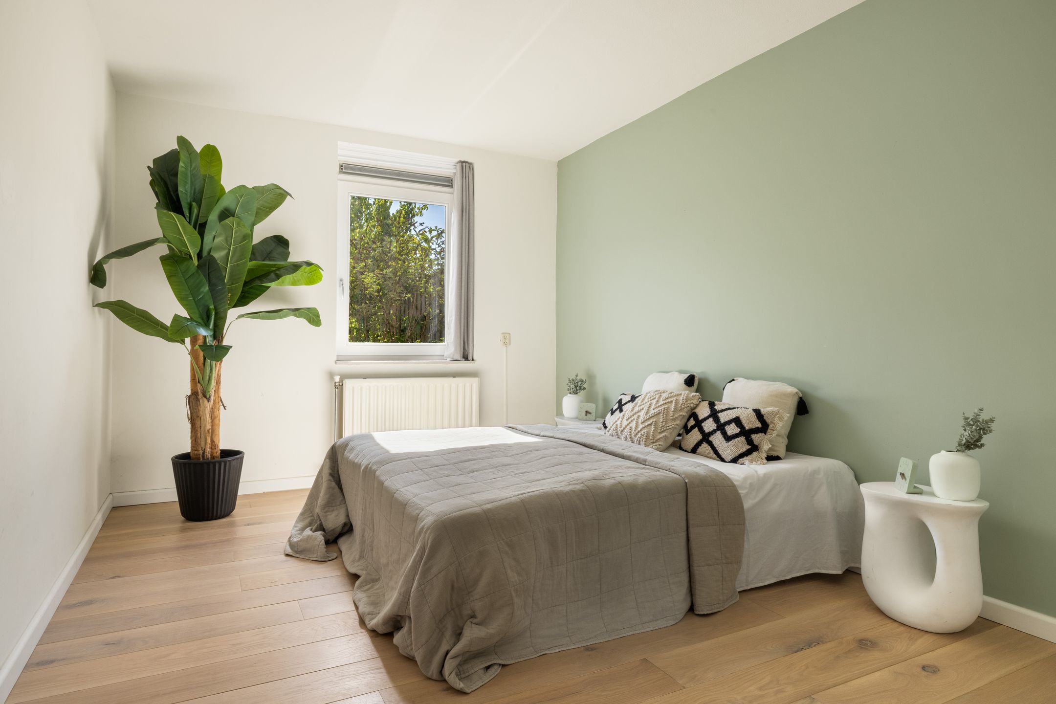 Foto 12 van Ibrahim Moustafapad 24