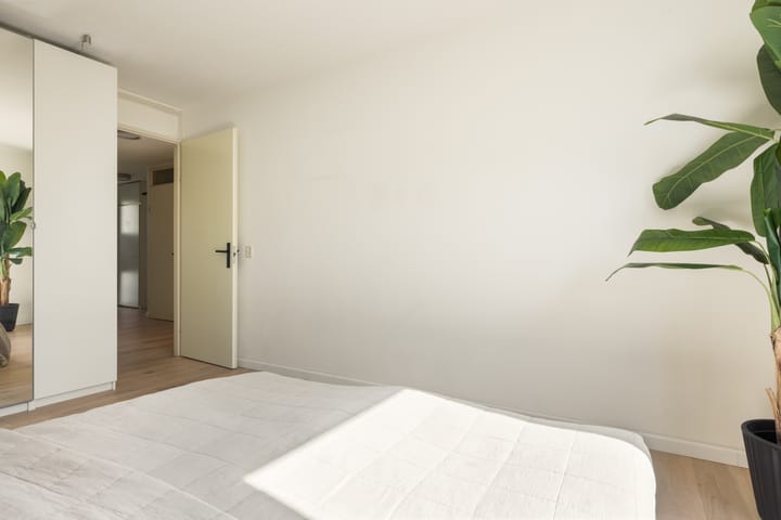 Foto 14 van Ibrahim Moustafapad 24