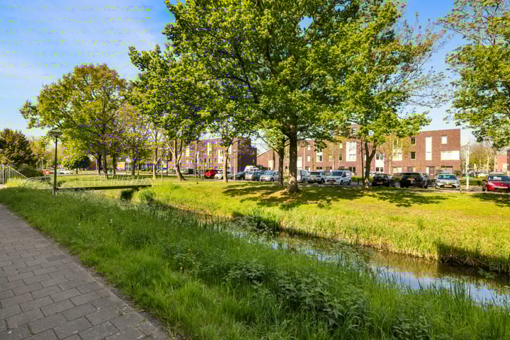 Foto 30 van Ibrahim Moustafapad 24