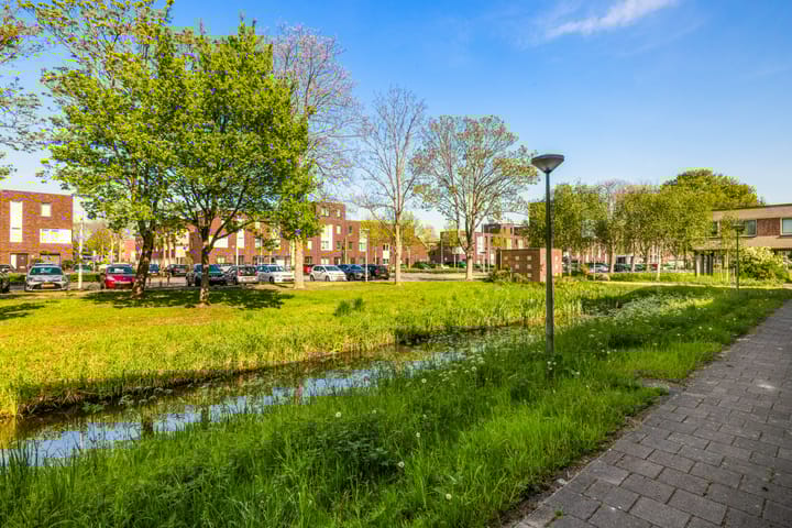 Foto 31 van Ibrahim Moustafapad 24