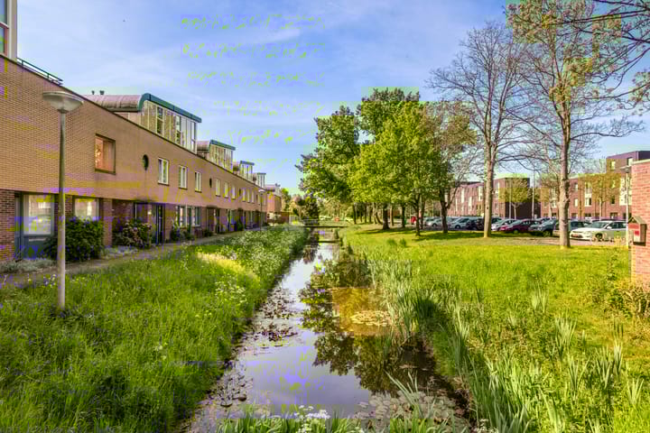 Foto 32 van Ibrahim Moustafapad 24