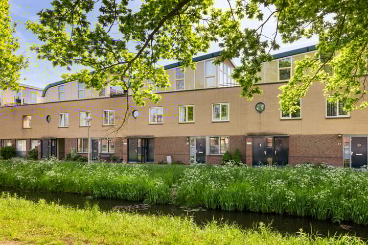 Foto 33 van Ibrahim Moustafapad 24