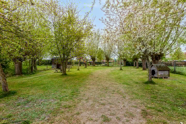 Photo 85 of Dorpsstraat 23