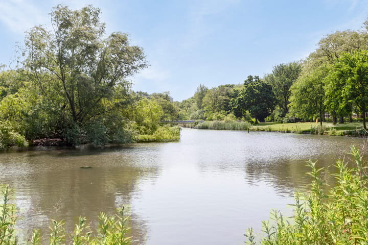 Foto 21 van Europaplein 725