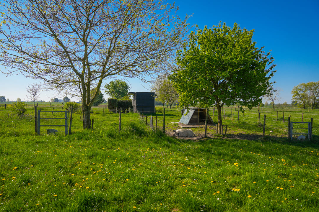 Photo 37 of Eindsestraat 41