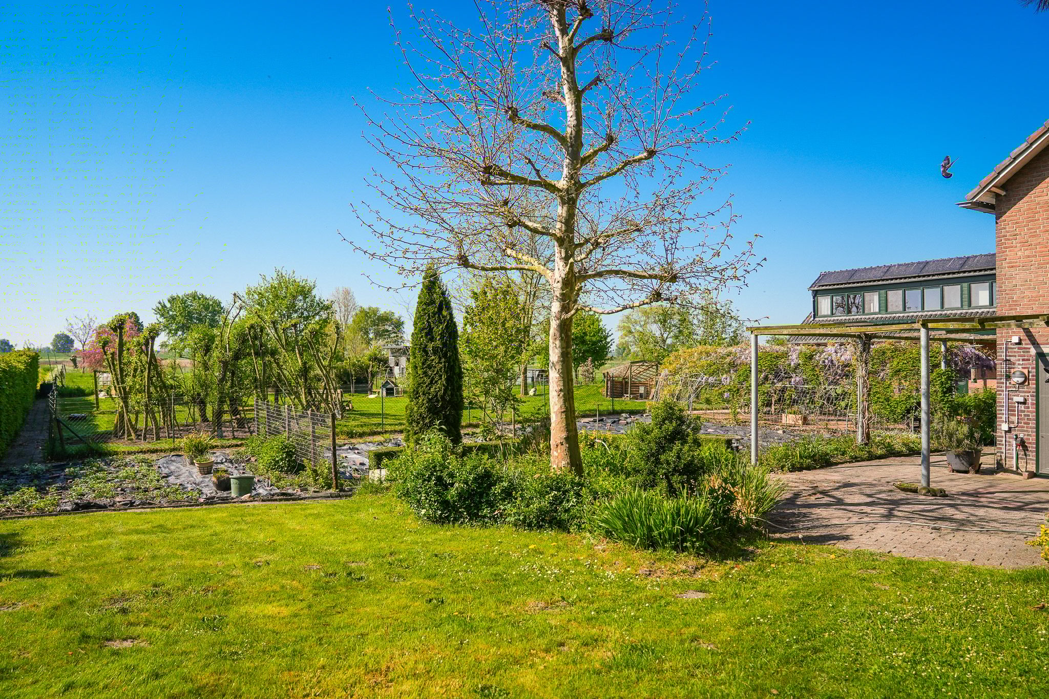 Photo 39 of Eindsestraat 41