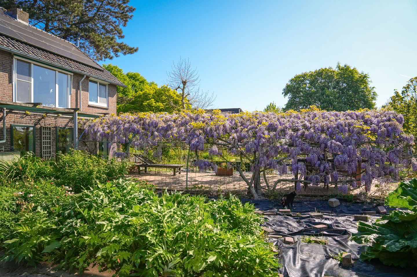 Photo 40 of Eindsestraat 41