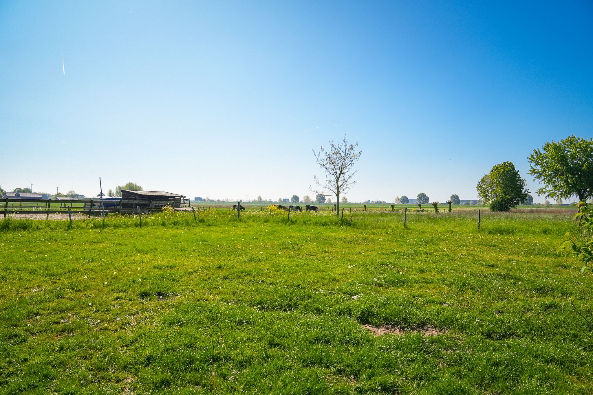 Photo 42 of Eindsestraat 41