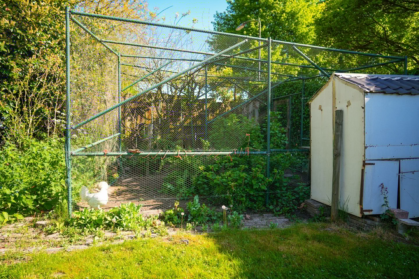 Photo 44 of Eindsestraat 41