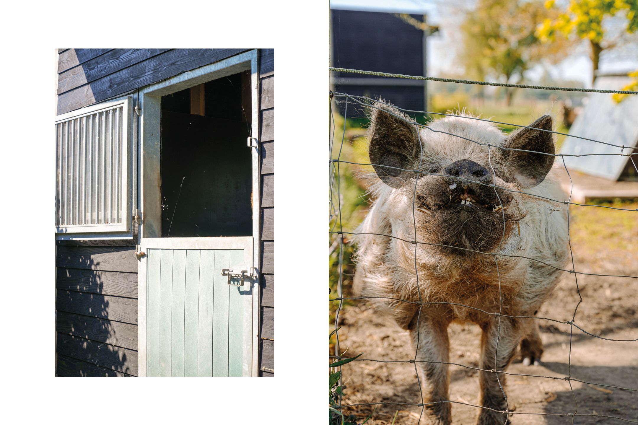 Photo 60 of Eindsestraat 41