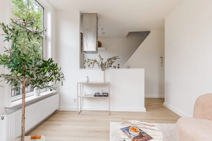 Photo 4 of Nieuwe Koekoekstraat 117