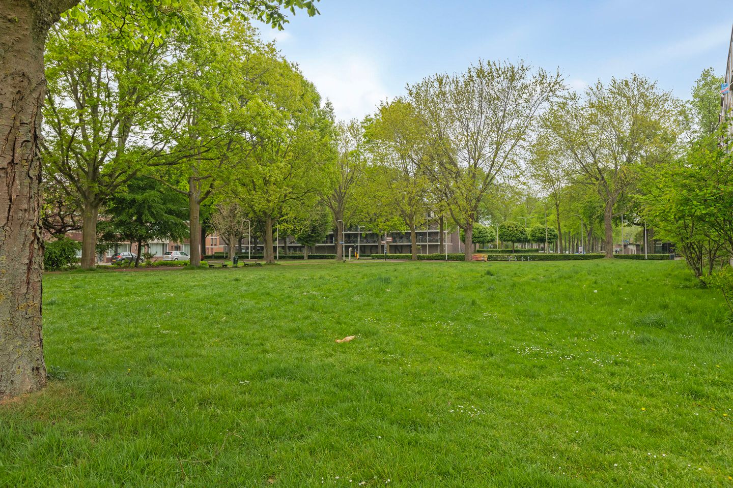 Foto 35 van Van Maarseveenstraat 9