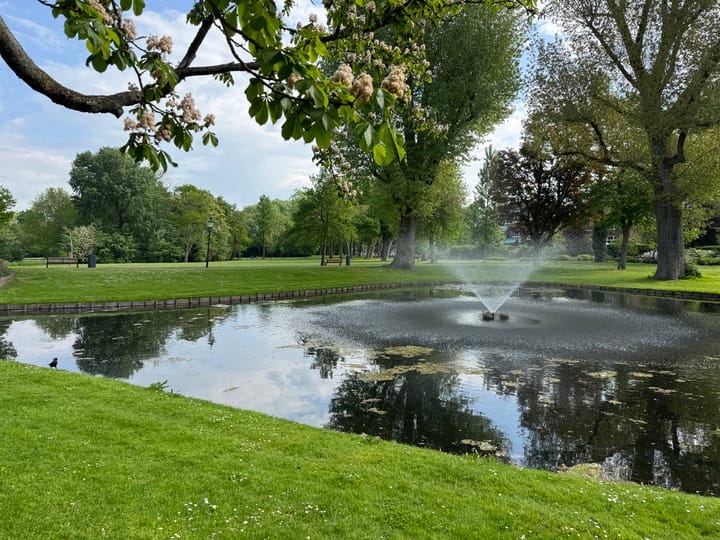 Photo 65 of Vredehofweg 68