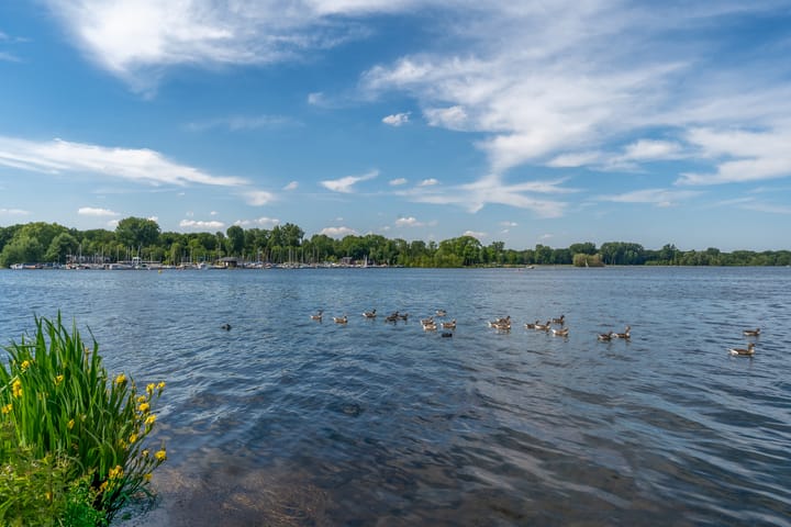 Photo 69 of Vredehofweg 68