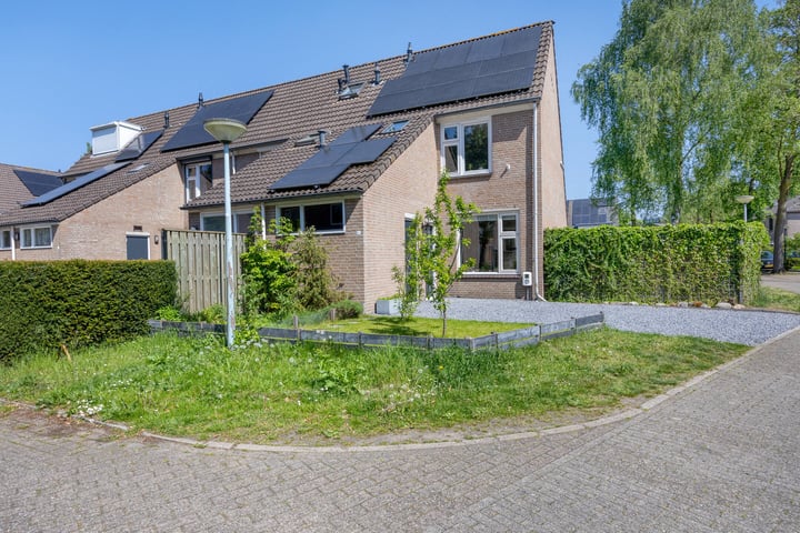 Vendelierstraat 8