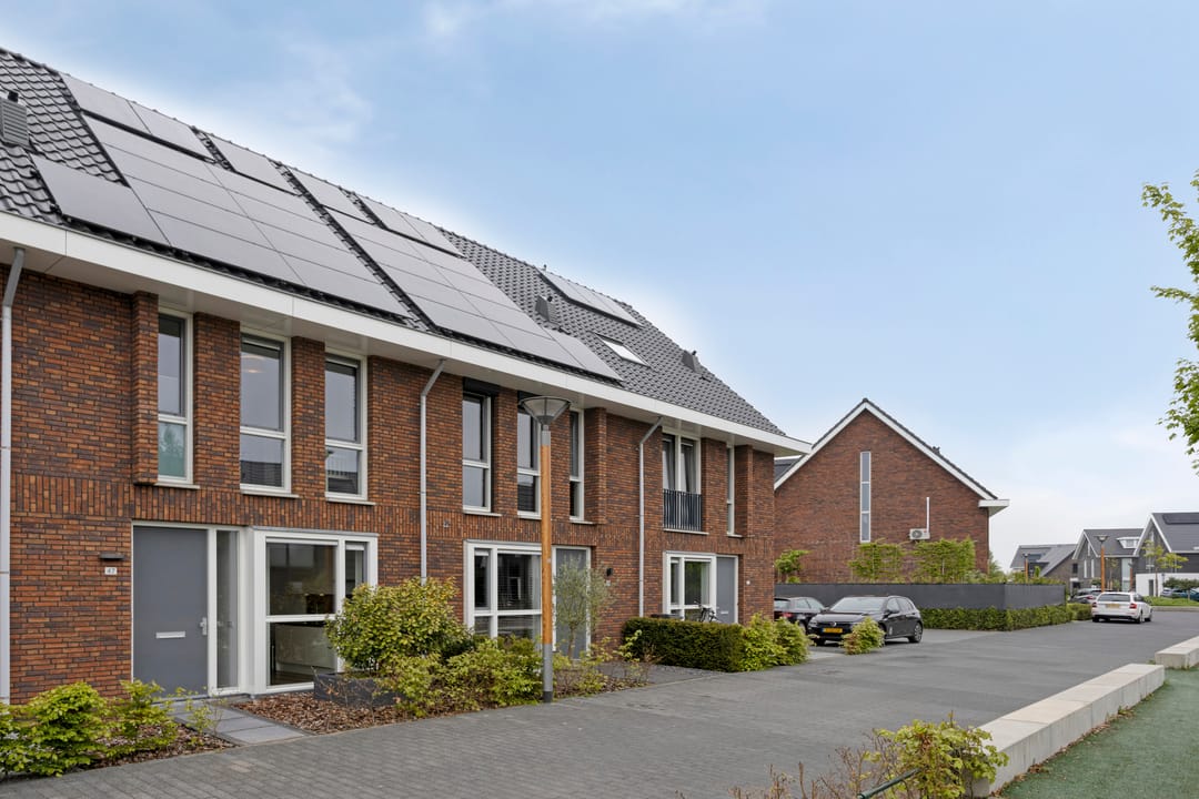 Foto 31 van Zonnebloem 47