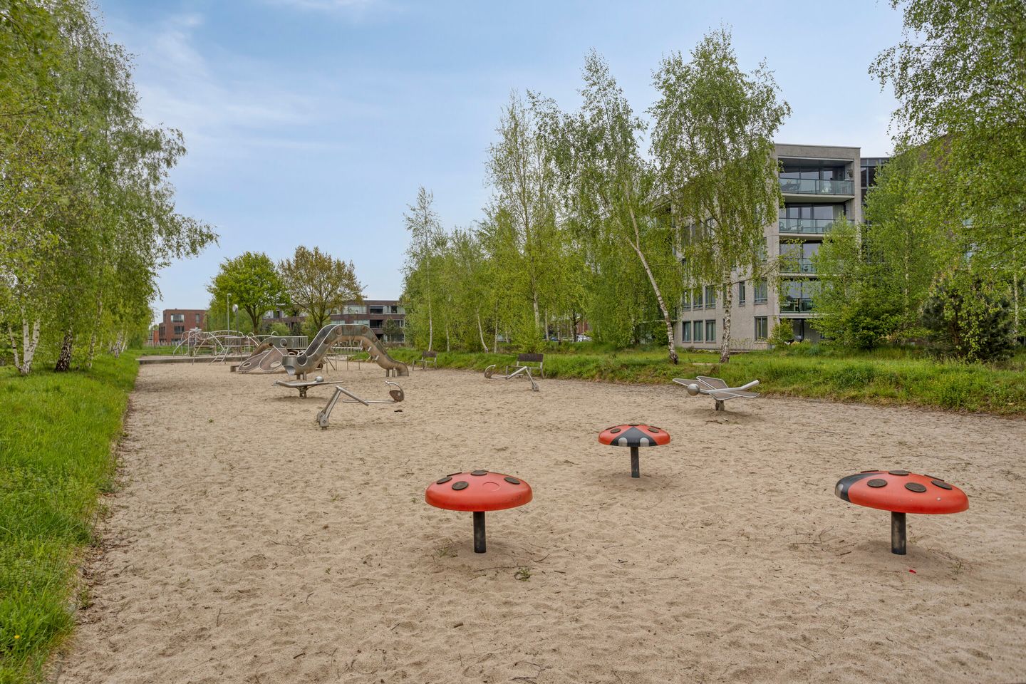 Foto 35 van Zonnebloem 47