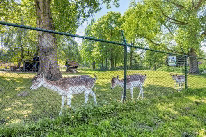 Foto 46 van Vendelierstraat 8