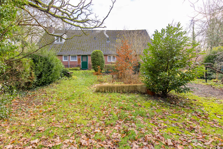 Foto 3 van Borgerweg 12