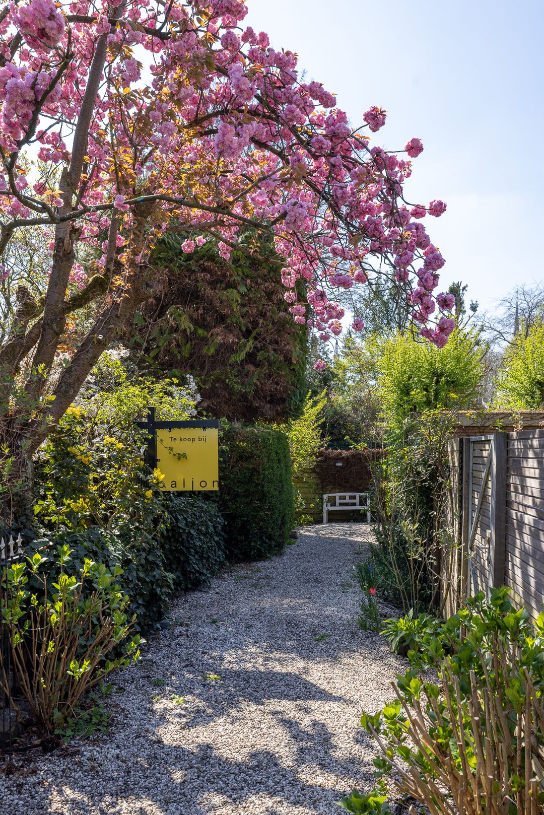 Foto 7 van Hoflaan 82-K002