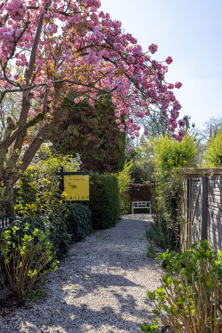 Foto 7 van Hoflaan 82-K002