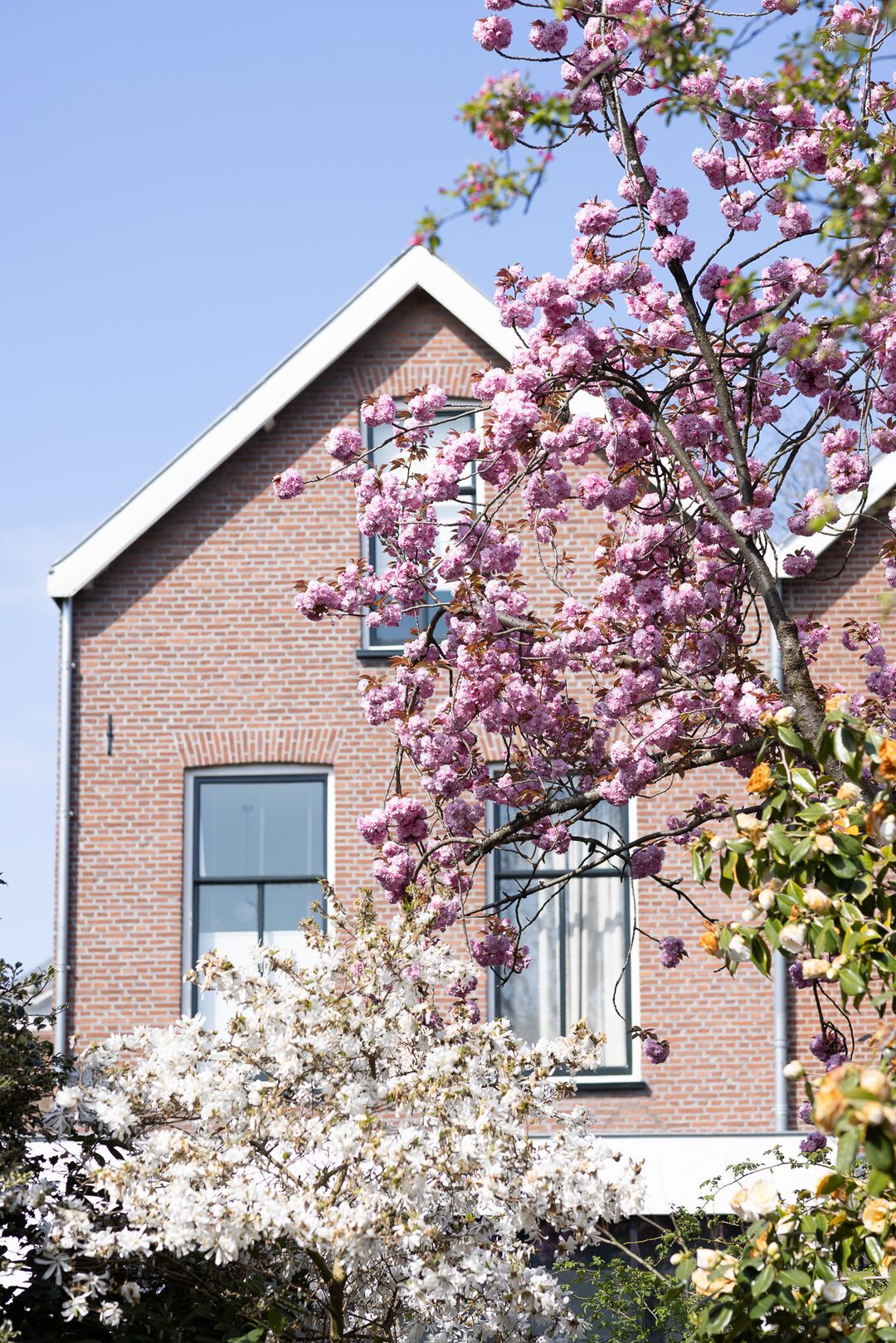 Foto 31 van Hoflaan 82-K002