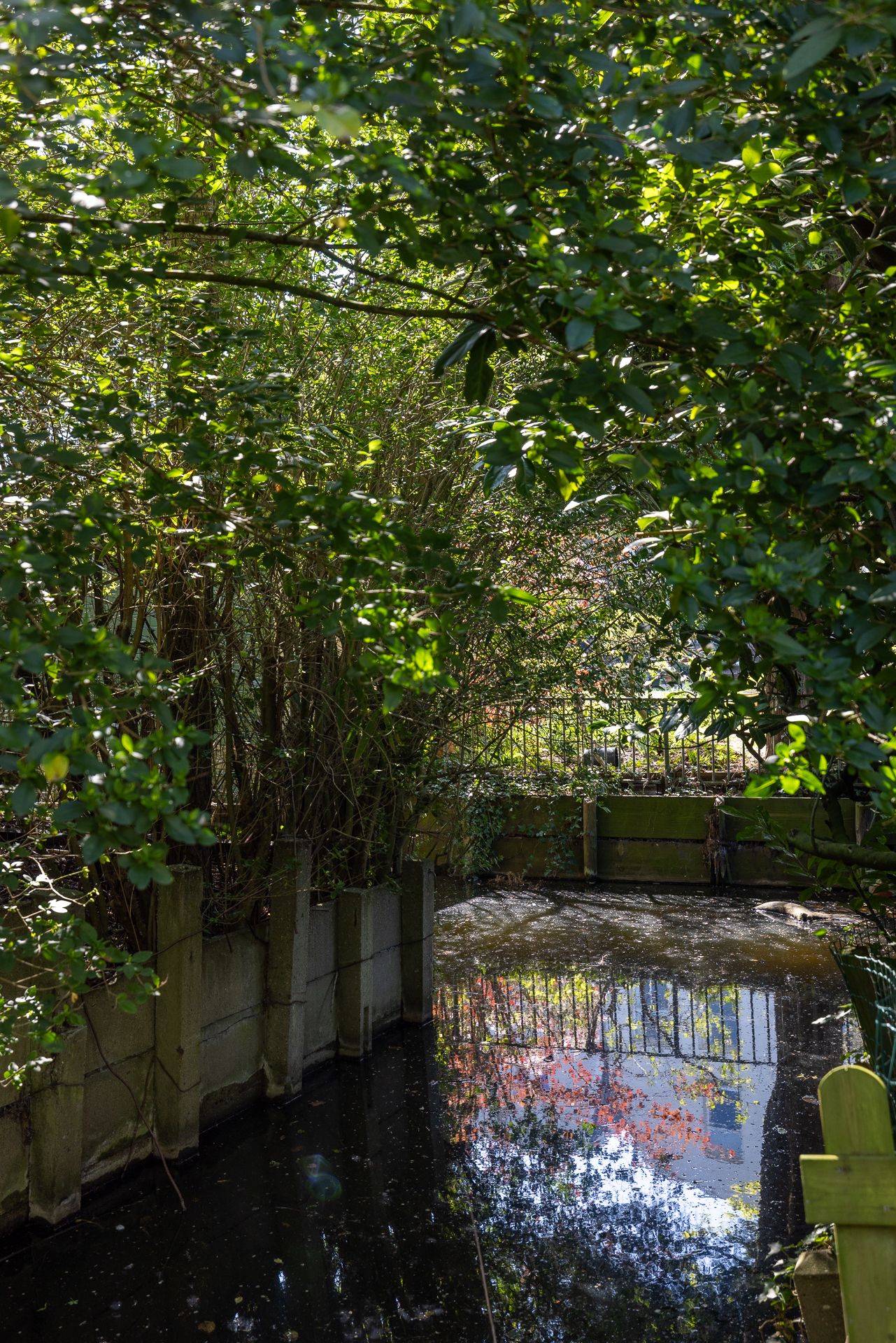 Foto 50 van Hoflaan 82-K002