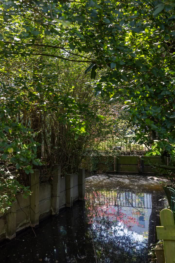 Foto 50 van Hoflaan 82-K002