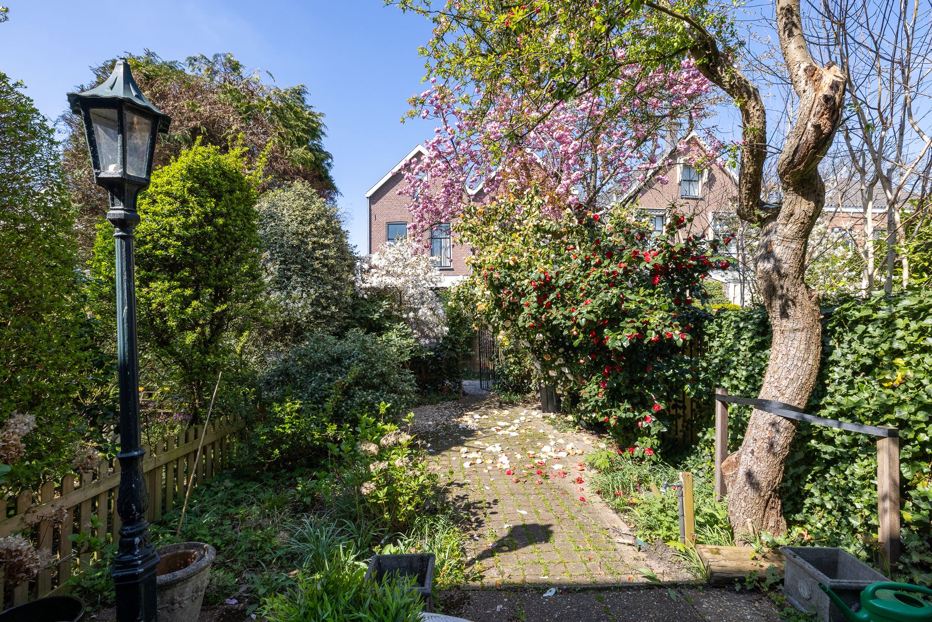 Foto 51 van Hoflaan 82-K002