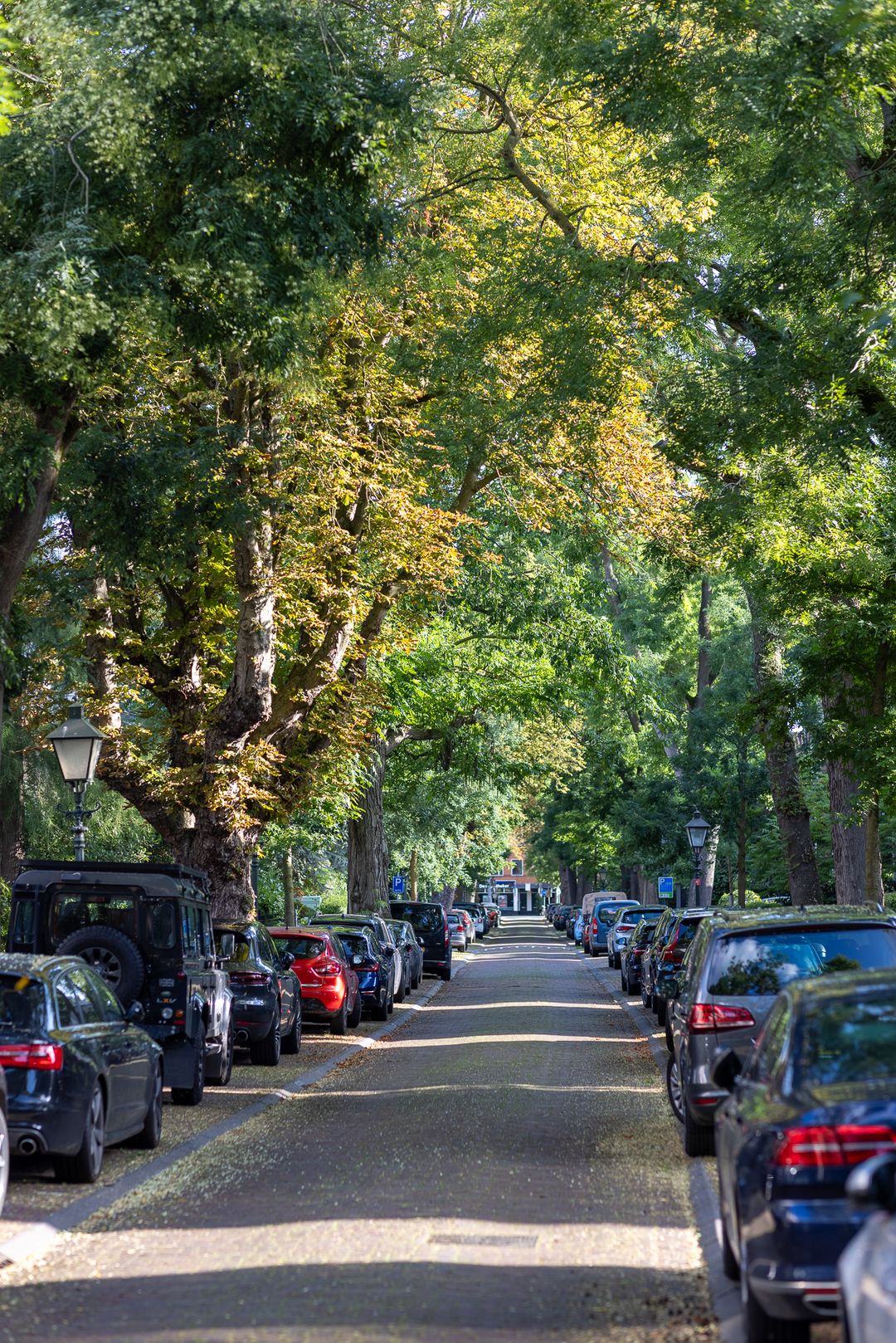 Foto 56 van Hoflaan 82-K002