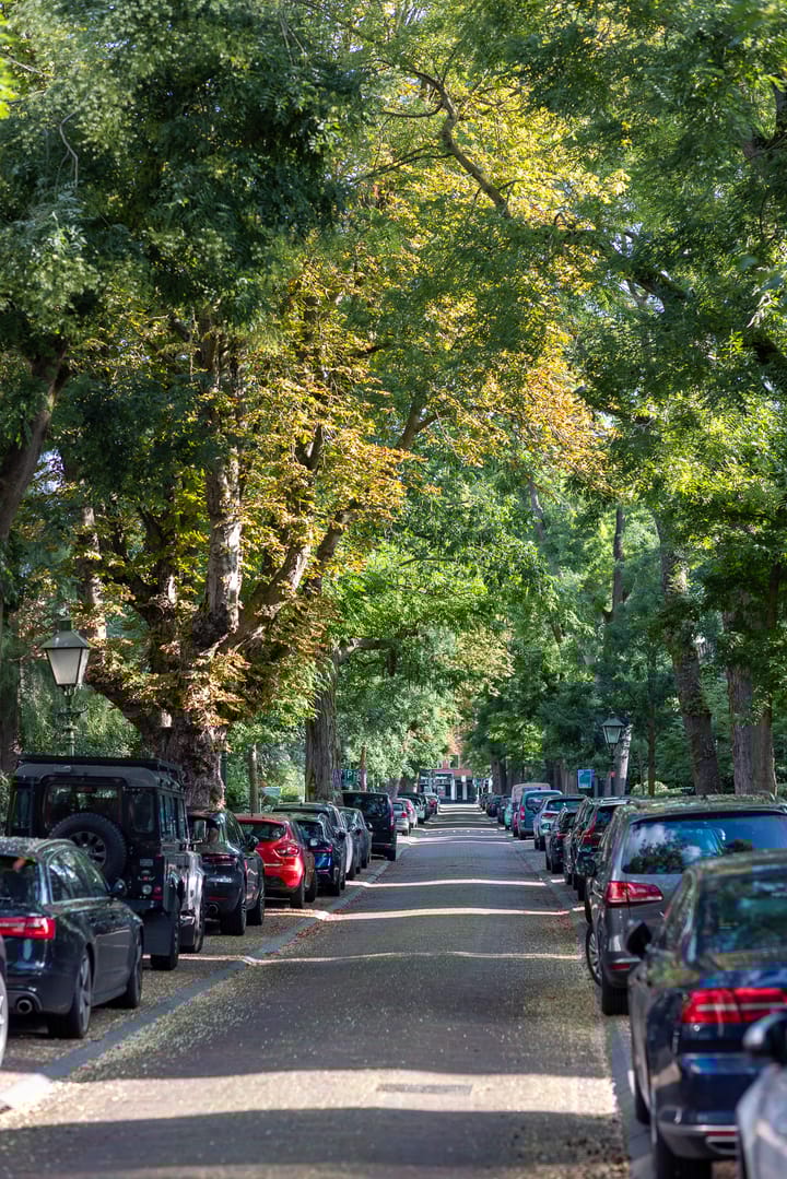 Foto 56 van Hoflaan 82-K002