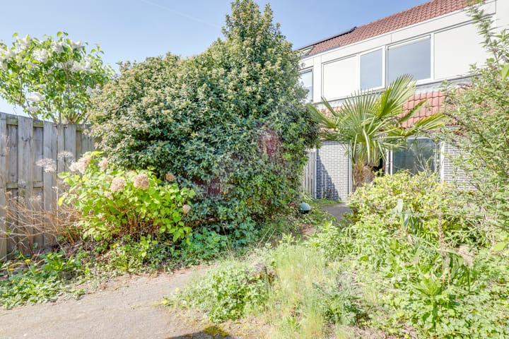 Foto 32 van Westraklaan 13